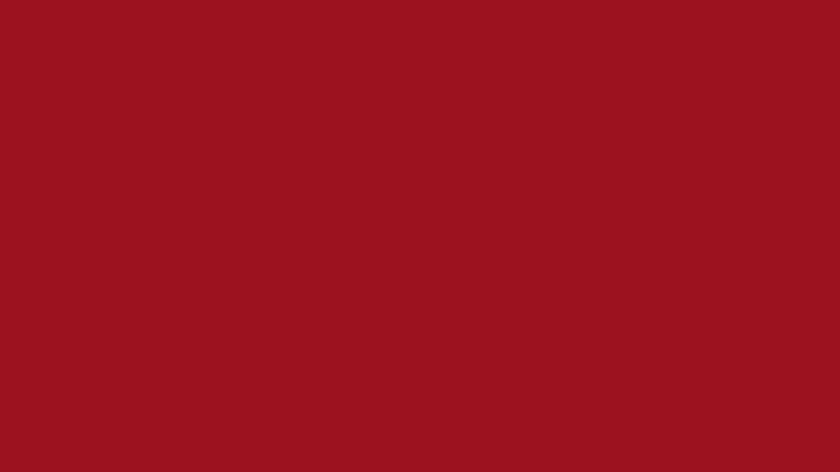 PALETTE NATURAL COLOR (6-88) RUBY RED